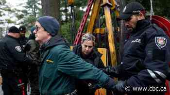 Greenpeace protesters arrested outside Poilievre's official residence