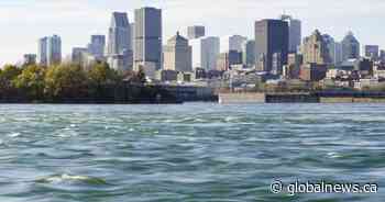 Petition by RFK Jr. fan leads to water fluoridation vote by Montreal council