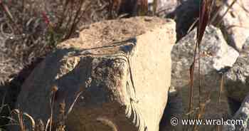 Large rocks in the middle of the road: Cumberland County authorities look for people responsible