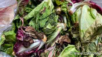 How to Keep Your Salad Greens From Liquifying in the Fridge