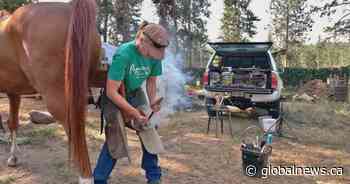 Tools with sentimental value allegedly stolen from Okanagan farrier