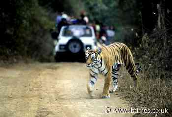 Wildlife Monitoring Tech Used To Harass, Spy On Women In India