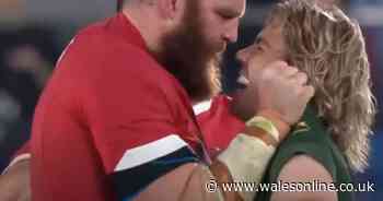 8.4m watch iconic Wales v South Africa 'David v Goliath' moment