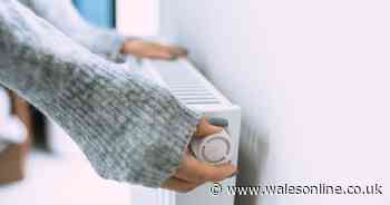 Another £19 hike in gas and electricity bills announced on Friday