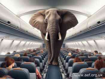 The elephant in the middle aisle