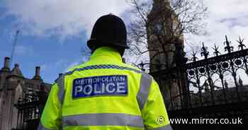 Met Police force set to lose 2,000 officers as result of budget cuts