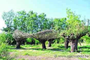 Monumentale kunstwerken in natuurgebieden Vlassenbroek-Zuid en Wal-Zwijn