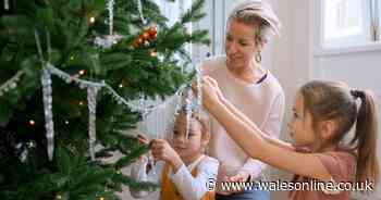 Thanks fir trying: 8 in 10 redecorate Christmas tree after their kids