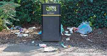 Some of the 915 litter bins in the Vale of Glamorgan might be removed