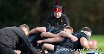 WRU board member Jamie Roberts believes Warren Gatland will still be in job next week