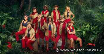 I'm A Celeb star 'playing up to cameras' as pal sets record straight on romance