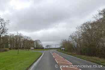 Tragedy as woman in 70s dies in two-car collision near Northumberland village