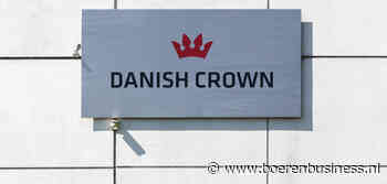 Tekort aan varkens drukt resultaat Danish Crown