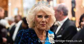 Buckingham Palace issues Queen Camilla health update as she cancels appearance