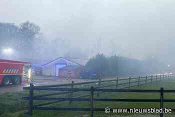 Rookontwikkeling bij stalbrand in Weelde