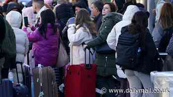 Fury as Gatwick passengers face delays and cancellations after FOUR HOUR evacuation chaos: Thousands of passengers remain stranded in airport as police reveal two arrested over 'suspect package' are allowed to continue journeys