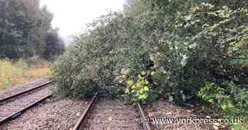 Train passengers advised to 'take care' in Storm Bert