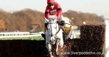 Horse Power: Grey Dawning can win the Betfair Chase at Haydock Park