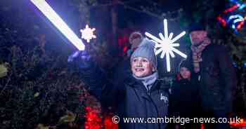 Wimpole Estate's stunning Christmas light display where magical birds come to life