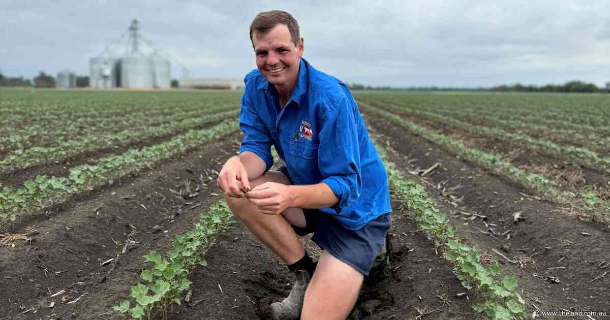 How the Kahl family has fine-tuned their Namoi cotton operation