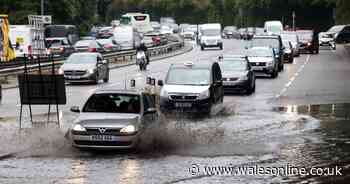 The full details of the two Met Office weather warnings covering Wales this weekend as Storm Bert hits