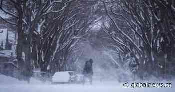 Saskatchewan prepares for a weekend of heavy snow