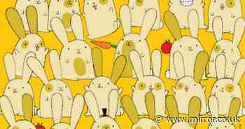 Only those with insane IQ can spot the single bunny among pairs in nine seconds flat