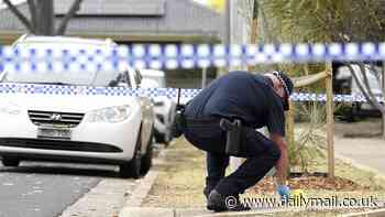 Nine arrested after violent brawl erupted on a quiet Melbourne street and leaves one man fighting for life