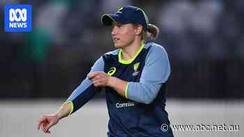 Australia captain Alyssa Healy ruled out of ODI series against India