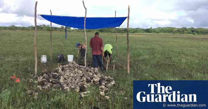 4,000-year-old canals used for fishing by Maya predecessors discovered in Belize