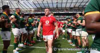 Wales v South Africa: Kick-off time, TV channel and team news