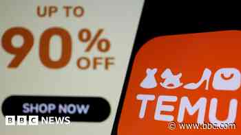 Temu owner's shares slump as China slowdown hits sales