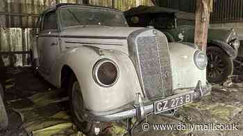 Incredible treasure trove of vintage Mercedes cars found in rural barn in Essex after collecting dust for 40 YEARS sell for thousands