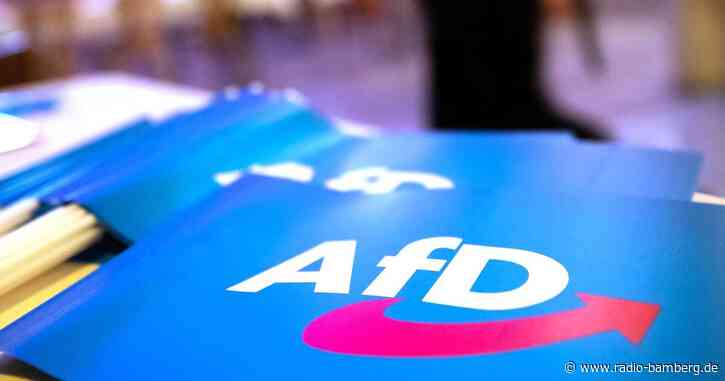 AfD-Landesparteitag beschäftigt sich mit «Remigration»