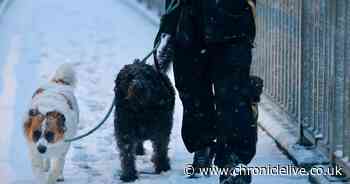 Pictures as snow falls across the North East during Storm Bert