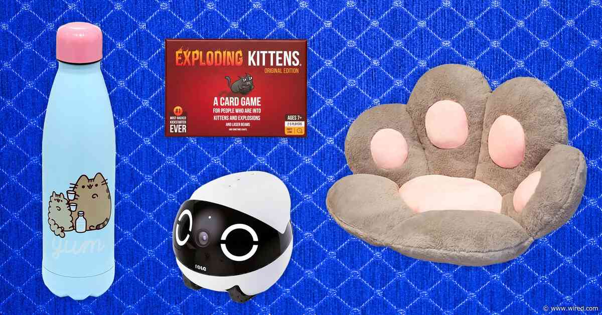 22 Best Gifts for Cat Lovers (2024)