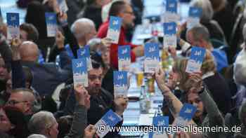 Bayerische AfD beschließt Resolution zur „Remigration“