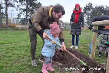 Zes geboortebomen gepland in nieuwe hondenloopweide