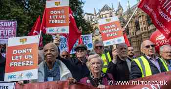 Labour knowing pensioners would be pushed into poverty proves they're mean as well as daft