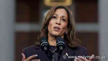 Kamala 2028? Insiders reveal Harris may still have her sights set on the White House