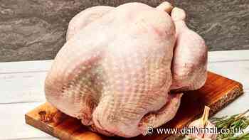 Britain's 'most expensive turkey' is free range, fed on nettles, wild blackberries and fresh oats and will set you back more than £360