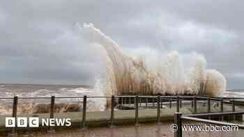 Your pictures of Storm Bert