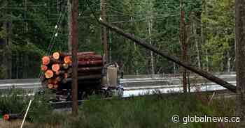 BC Hydro says power almost fully restored after B.C. windstorms