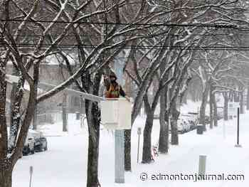 Weekend snow dump triggers Edmonton parking ban