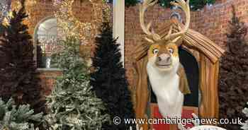 'I visited a Cambridgeshire family-run farm shop that has everything you need for Christmas'