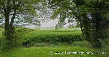 The lost Cambridgeshire castle that once had 'elaborate' gardens