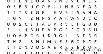 Only people with 'sharp eyes' can spot hidden word in tricky brain teaser