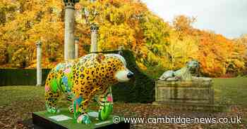 Incredible painted bear sculptures take over Cambs' Anglesey Abbey