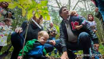 Out on a limb: Ottawa is falling behind on its promise to plant 2 billion trees