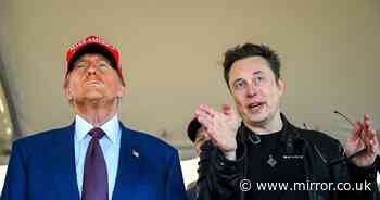 Elon Musk vows to create 'crusaders' team of 'sharpest minds in America' to cut Trump's spending